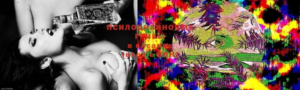 индика Навашино