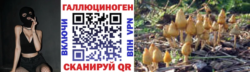 Галлюциногенные грибы Psilocybine cubensis Апатиты