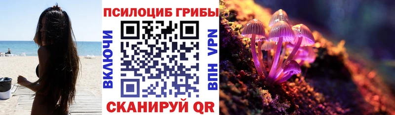 Купить  Апатиты  Псилоцибиновые грибы Psilocybe 