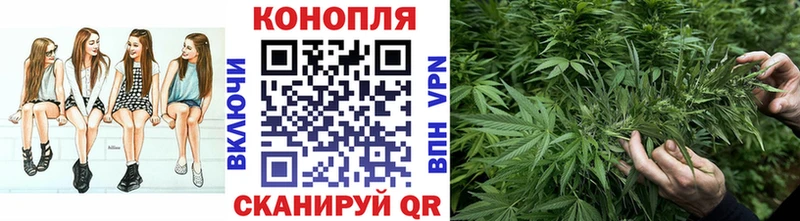 Купить закладки  Апатиты  Конопля план 